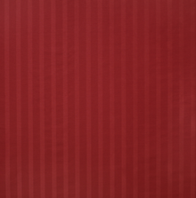Rectangular Cushion – Ionic Stripe Raspberry
