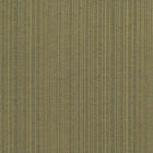 Temple – Olive