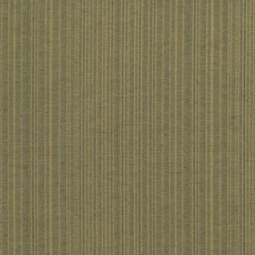 Temple – Olive Sample