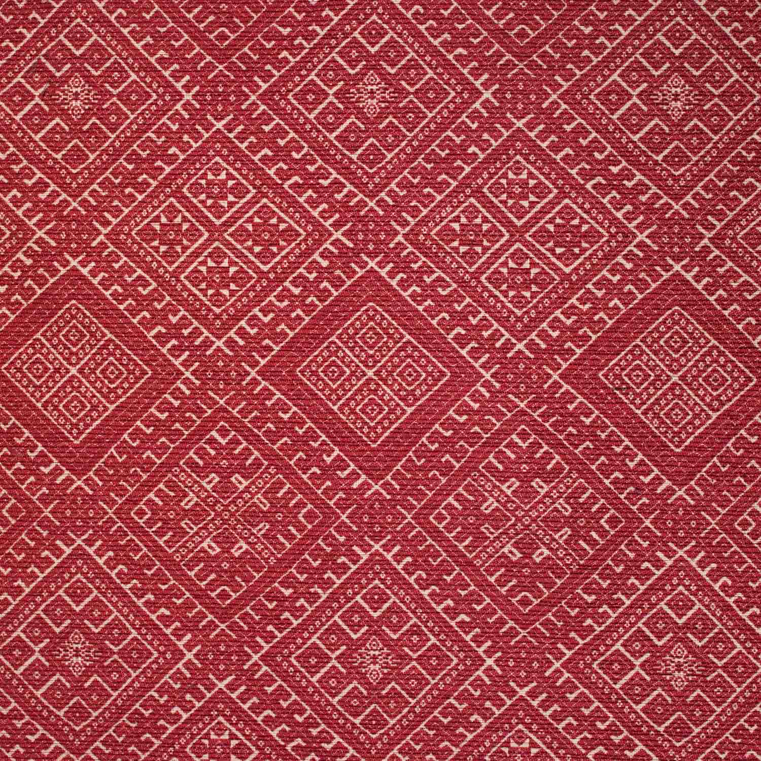 Trellis – Raspberry
